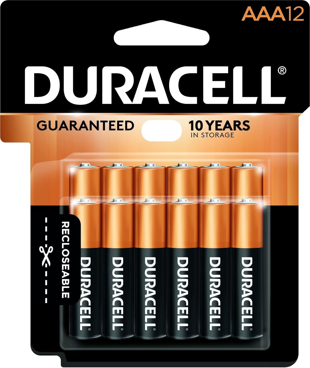 - Coppertop AAA Alkaline Batteries - Long Lasting, All-Purpose Triple a Battery for Household and Business - 12 Count