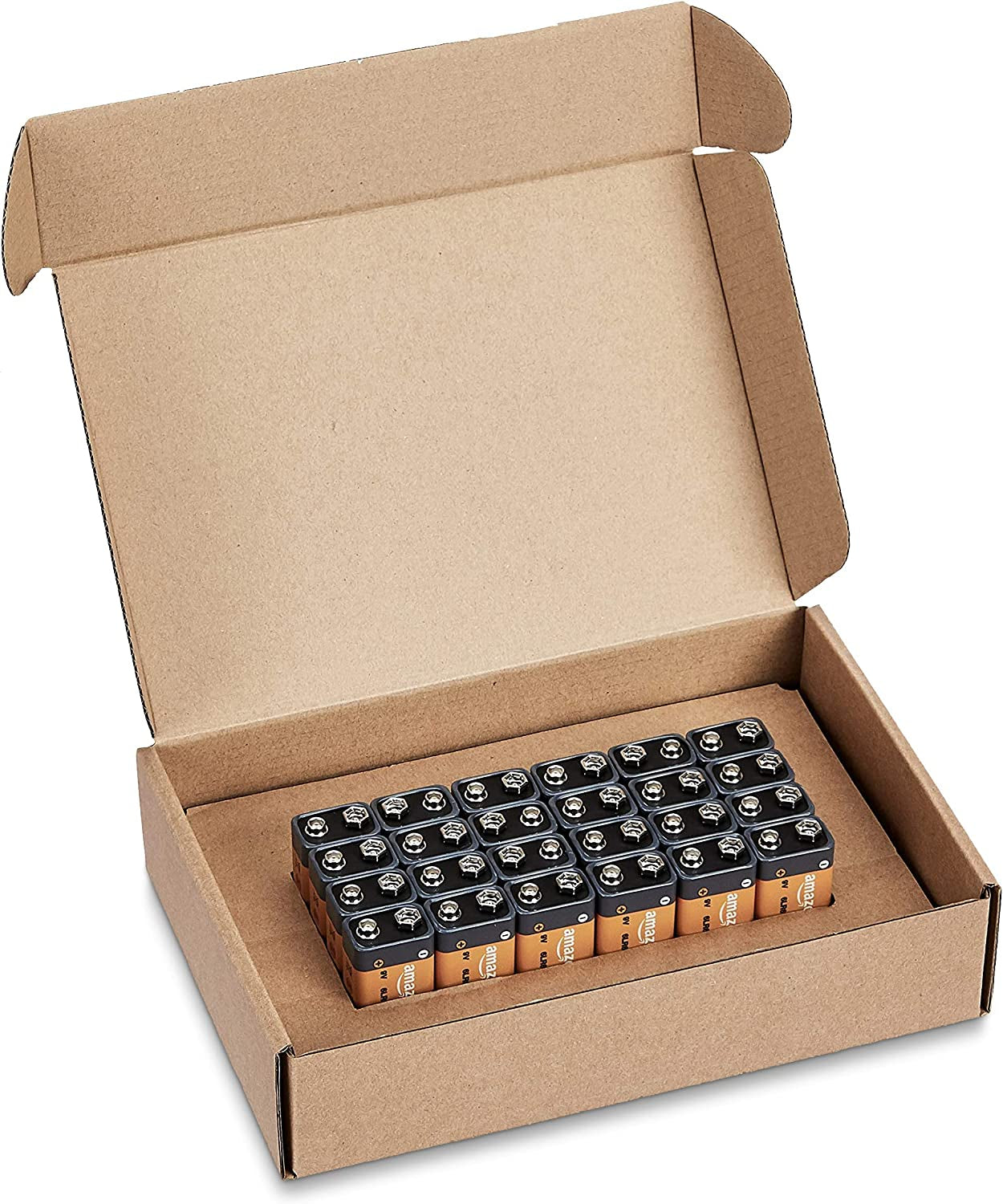 24-Pack 9 Volt Alkaline Performance All-Purpose Batteries, 5-Year Shelf Life, Packaging May Vary