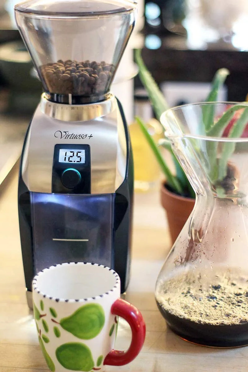 Virtuoso+ Conical Burr Coffee Grinder with Digital Timer Display