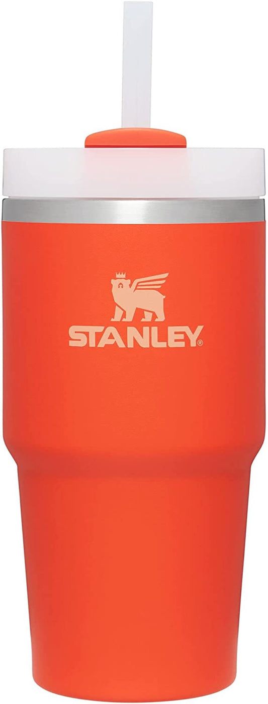 Quencher H2.0 Flowstate Stainless Steel Vacuum Insulated Tumbler with Lid and Straw for Water, Iced Tea or Coffee, Smoothie and More
