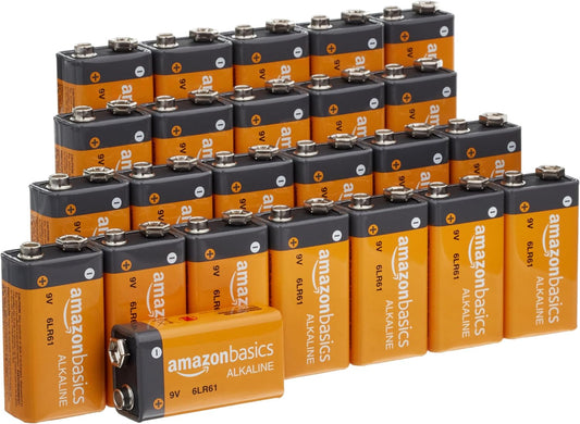 24-Pack 9 Volt Alkaline Performance All-Purpose Batteries, 5-Year Shelf Life, Packaging May Vary