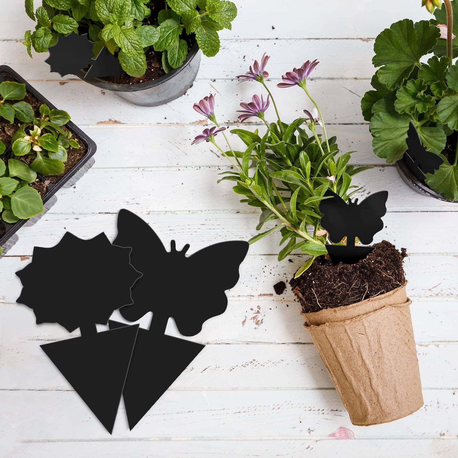 120PCS Fruit Fly Traps Sticky Traps Fungus Gnat Traps Insect Bug Traps for Indoor Outdoor Kitchen Plants Whitefly Mosquitos Fungus Gnats Flying Insects