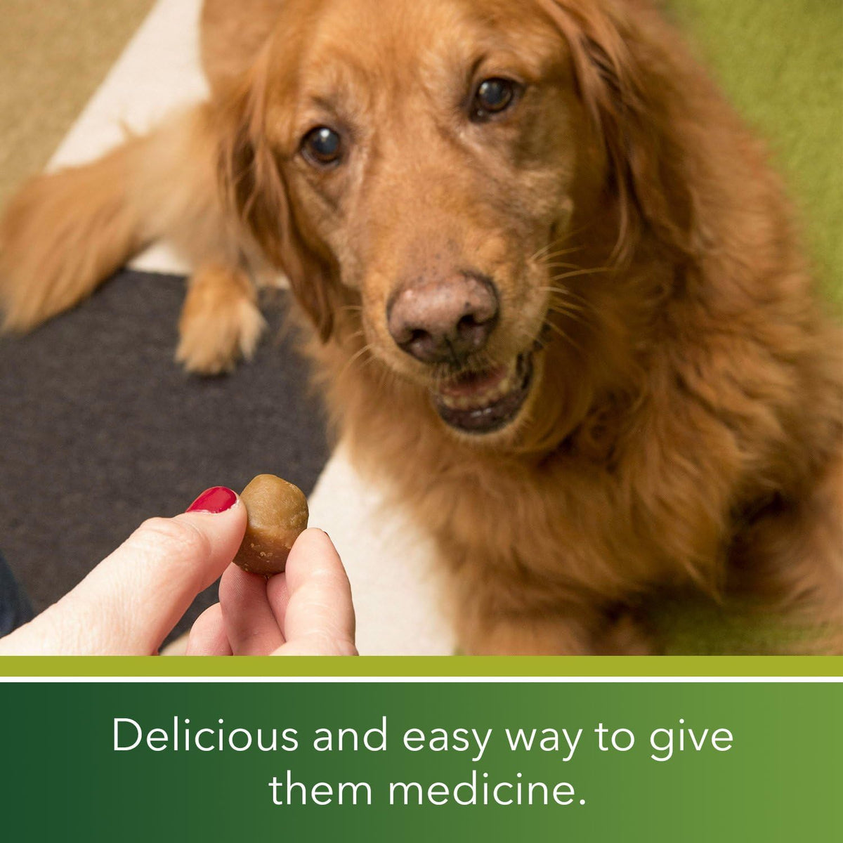 Pill Pockets Soft Dog Treats, Peanut Butter, Tablet, 3.2 Oz. (Pack of 6)