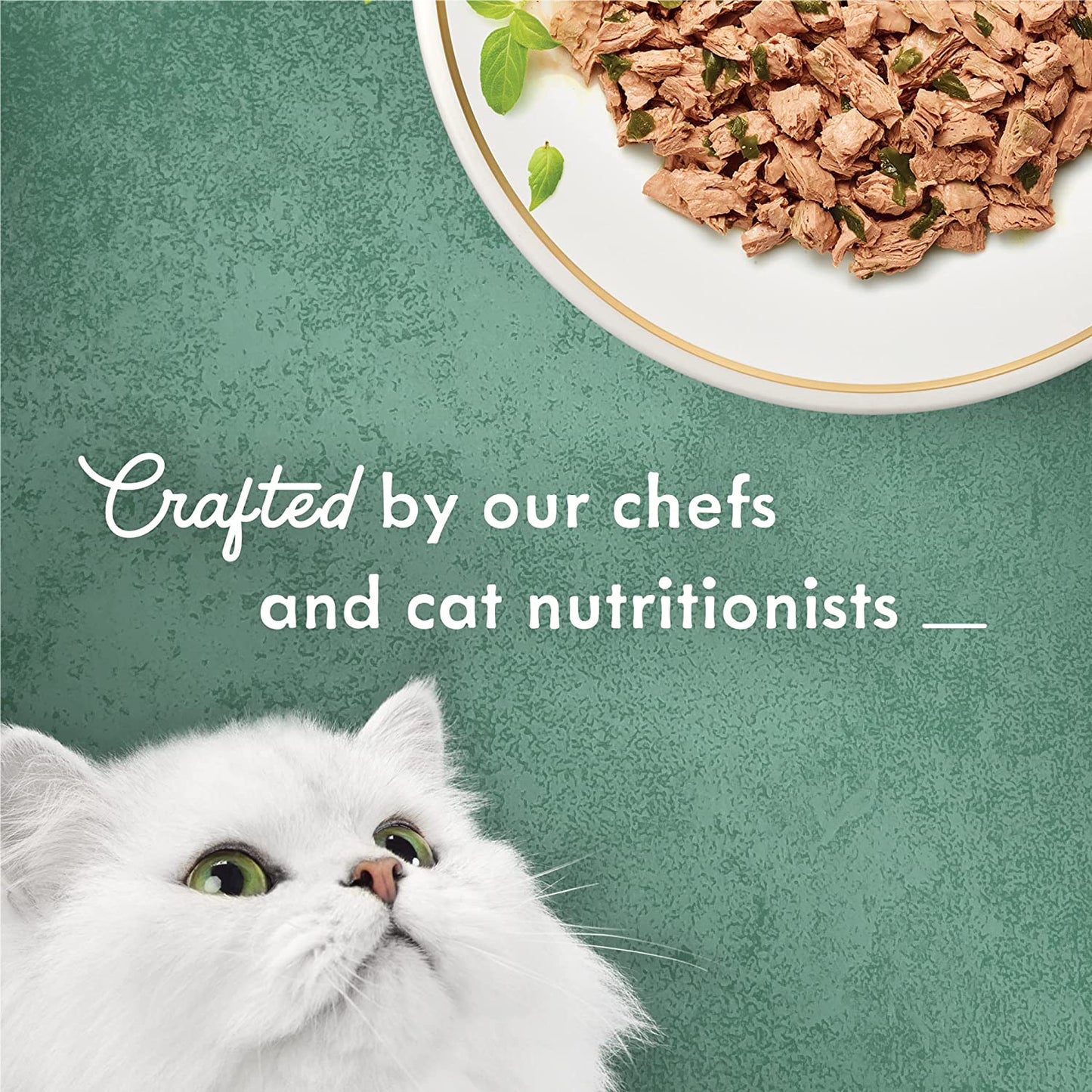 Wet Cat Food, Medleys Shredded Wild Salmon Fare with Spinach in a Savory Cat Food Broth - (24) 3 Oz. Cans
