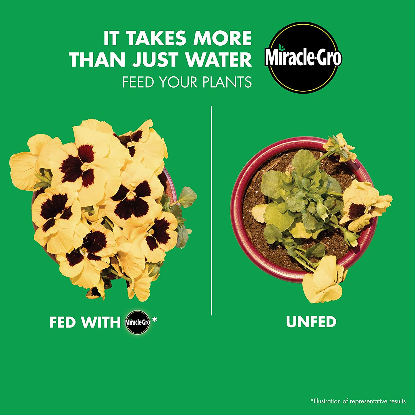 Water Soluble All Purpose Plant Food, 8 Oz.