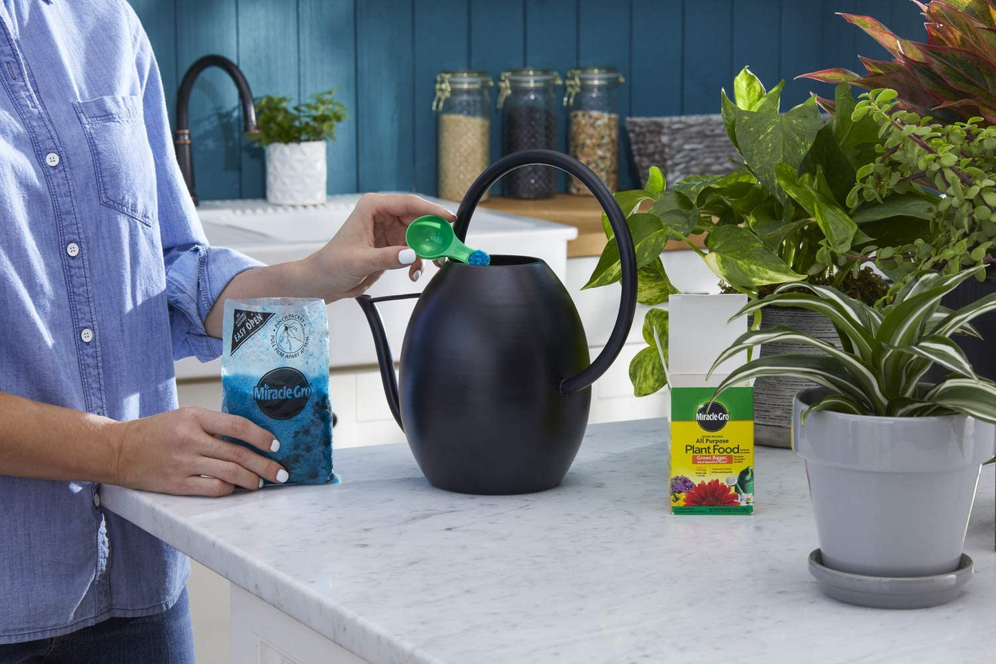 Water Soluble All Purpose Plant Food, 8 Oz.