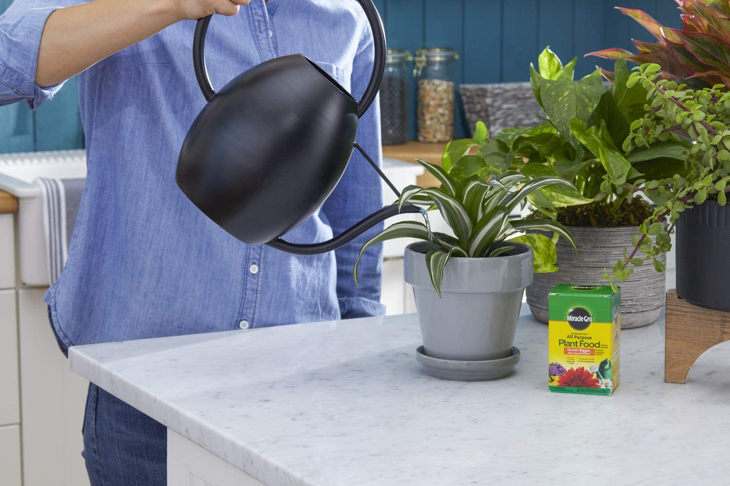 Water Soluble All Purpose Plant Food, 8 Oz.