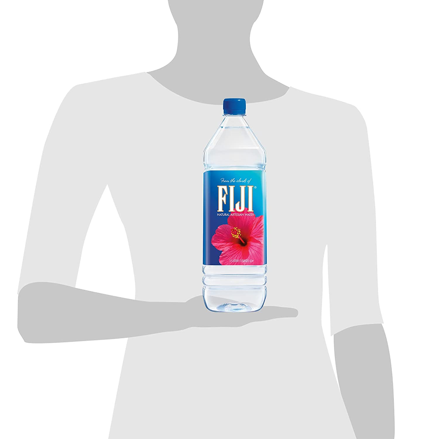 FIJI Natural Artesian Water, 50.7 Fl Ounce Bottle (Pack of 12)