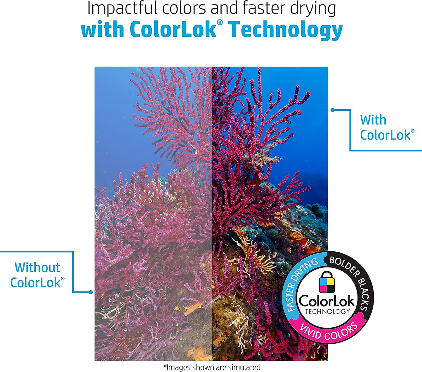 HP Printer Paper| 11 X 17 Paper | Office 20 Lb | 1 Ream - 500 Sheets | 92 Bright | Made in USA - FSC Certified Copy Paper | 172000R