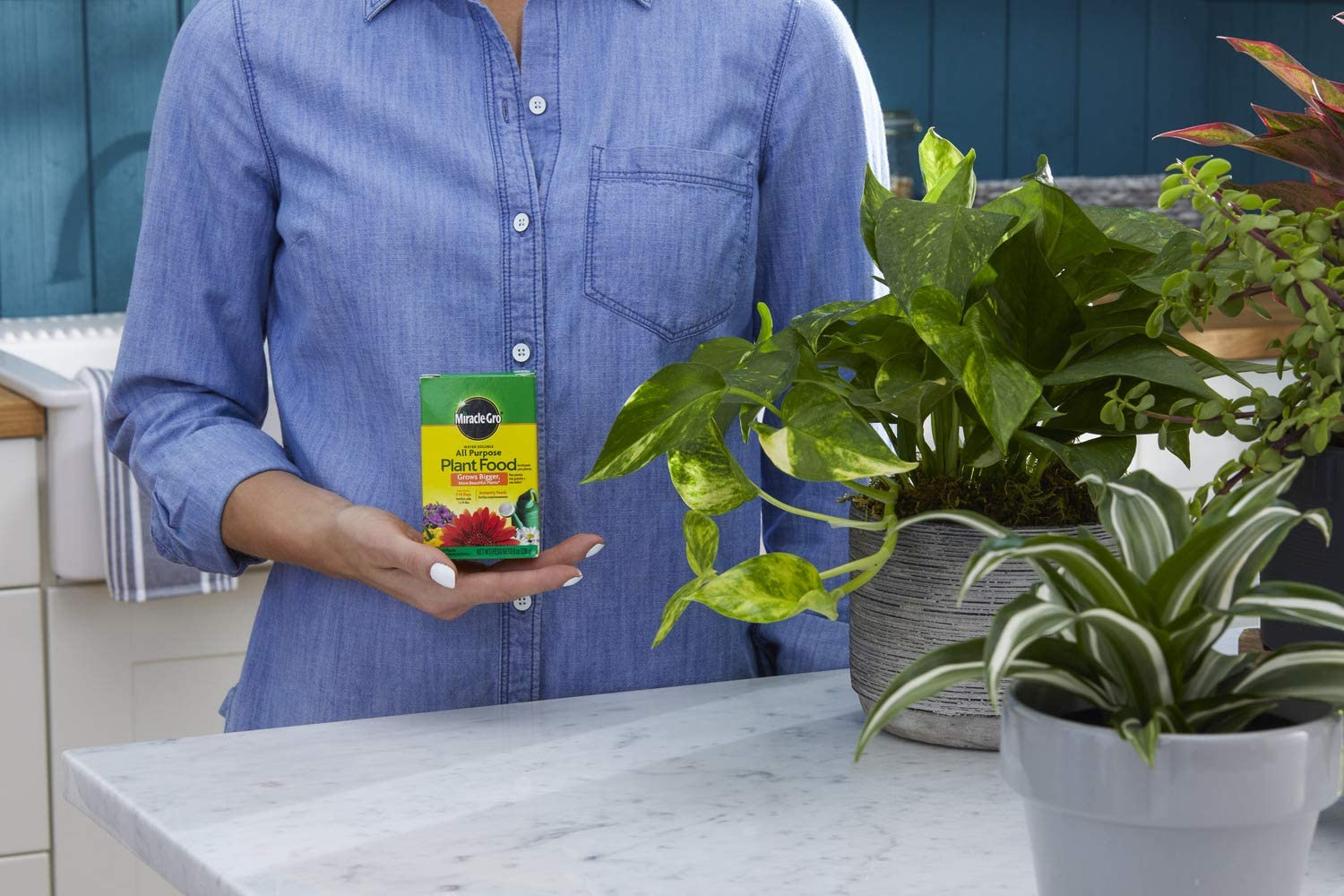 Water Soluble All Purpose Plant Food, 8 Oz.