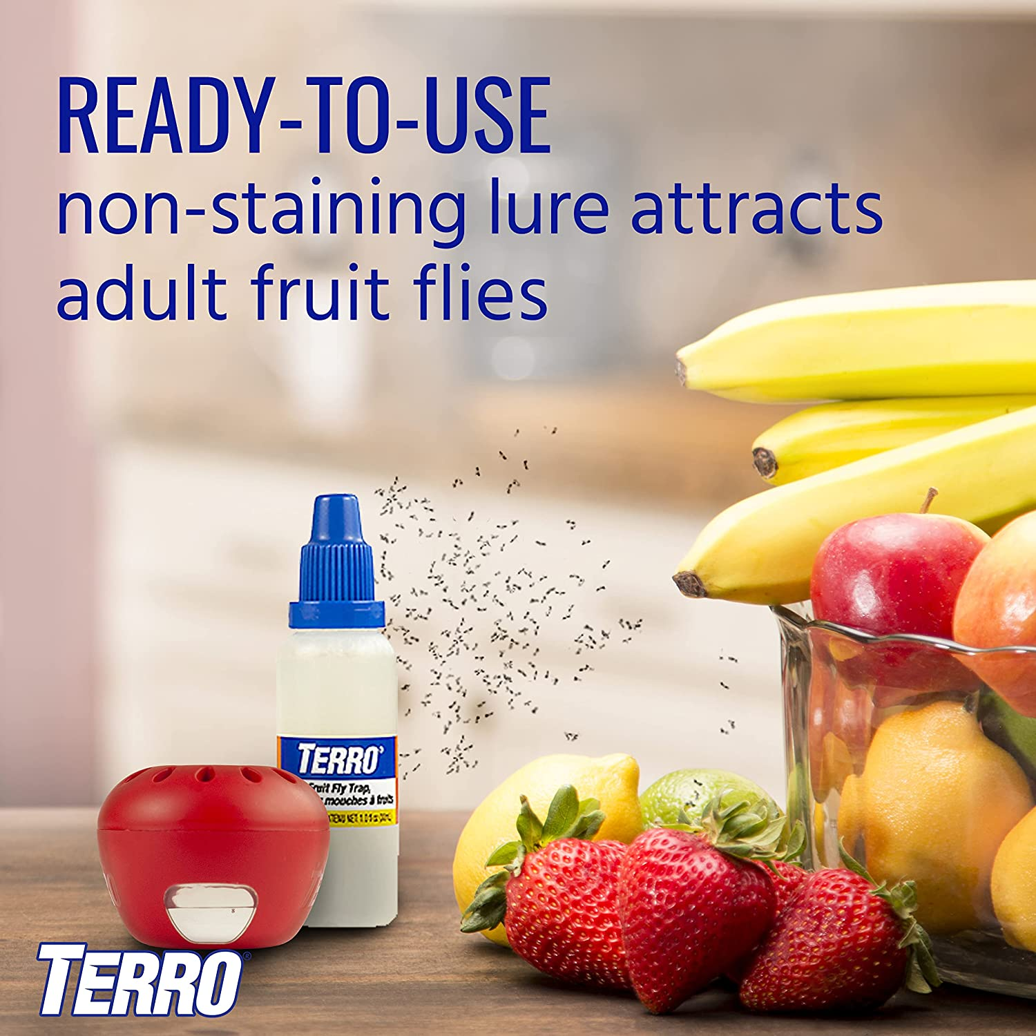 TERRO T2502 Ready-To-Use Indoor Fruit Fly Trap with Built in Window - 2 Traps + 90 Day Lure Supply
