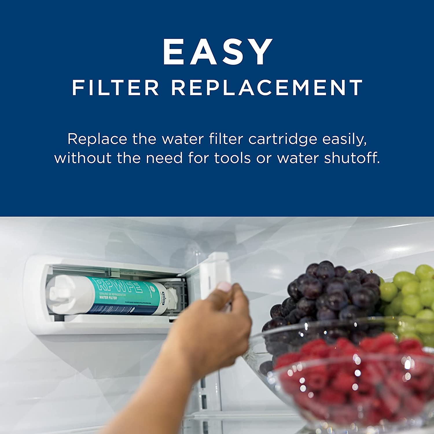 RPWFE Refrirator Water Filter | Certified to Reduce Lead, Sulfur, and 50+ Other Impurities | Replace Every 6 Months for Best Results | Pack of 1