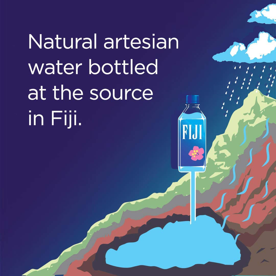 FIJI Natural Artesian Water, 16.9 Fl Oz (Pack of 24)