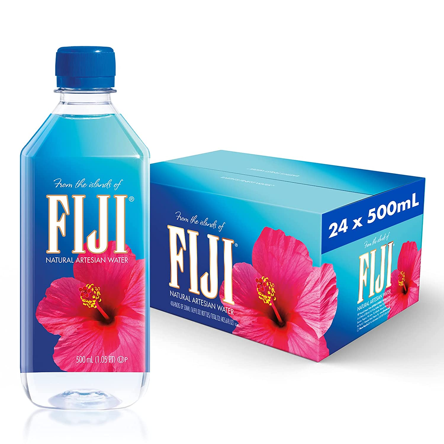 FIJI Natural Artesian Water, 16.9 Fl Oz (Pack of 24)