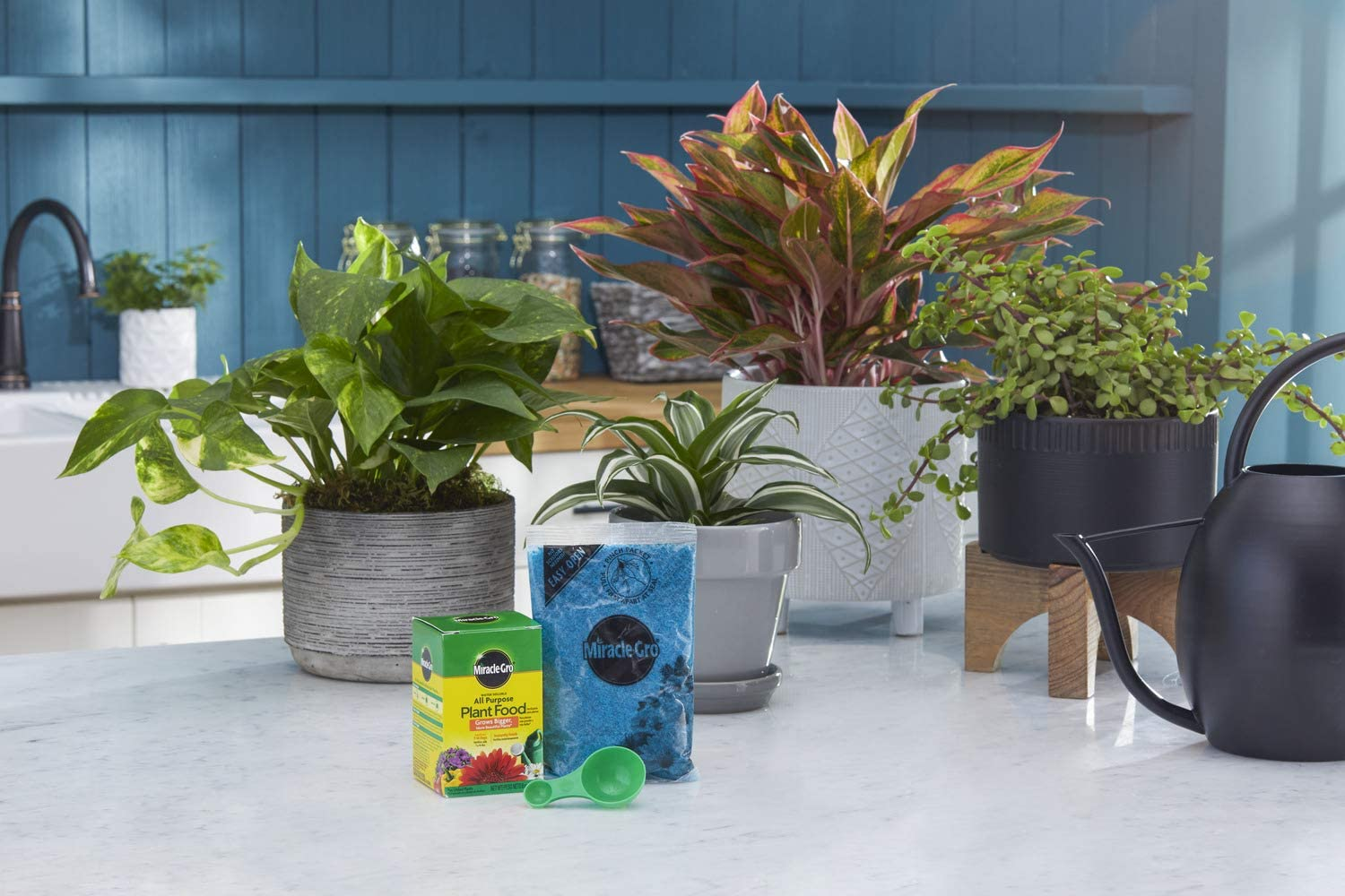 Water Soluble All Purpose Plant Food, 8 Oz.