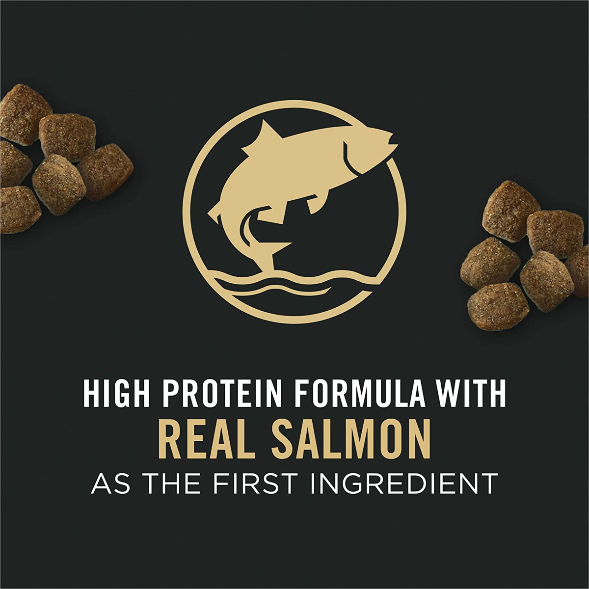 Sensitive Skin & Stomach Dog Food, Dry Dog Food for Senior Dogs Adult 7+ Salmon & Rice Formula - 24 Lb. Bag