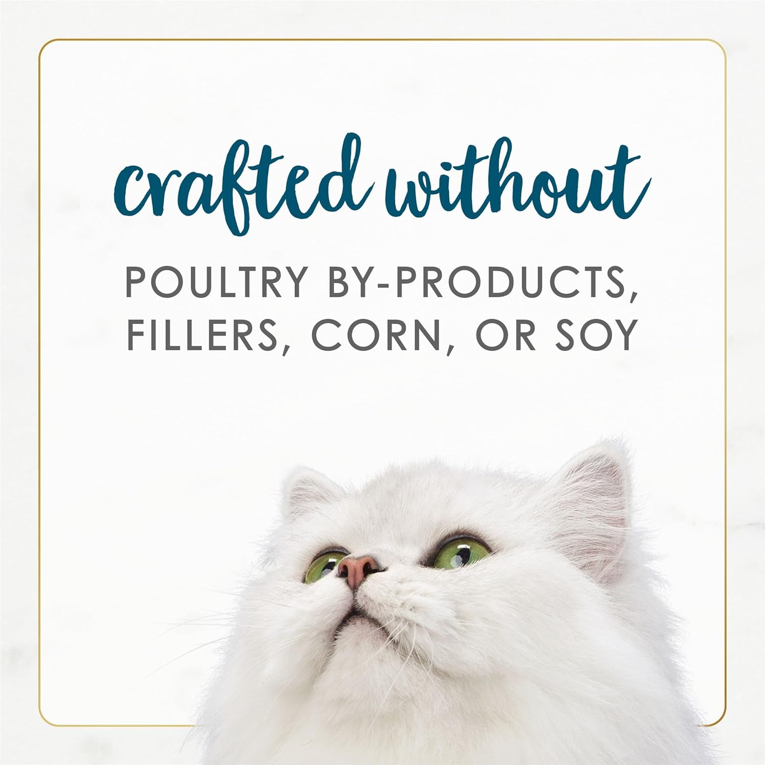 Wet Cat Food Gourmet Naturals Tuna Recipe in Wet Cat Food Gravy - (12) 3 Oz. Cans
