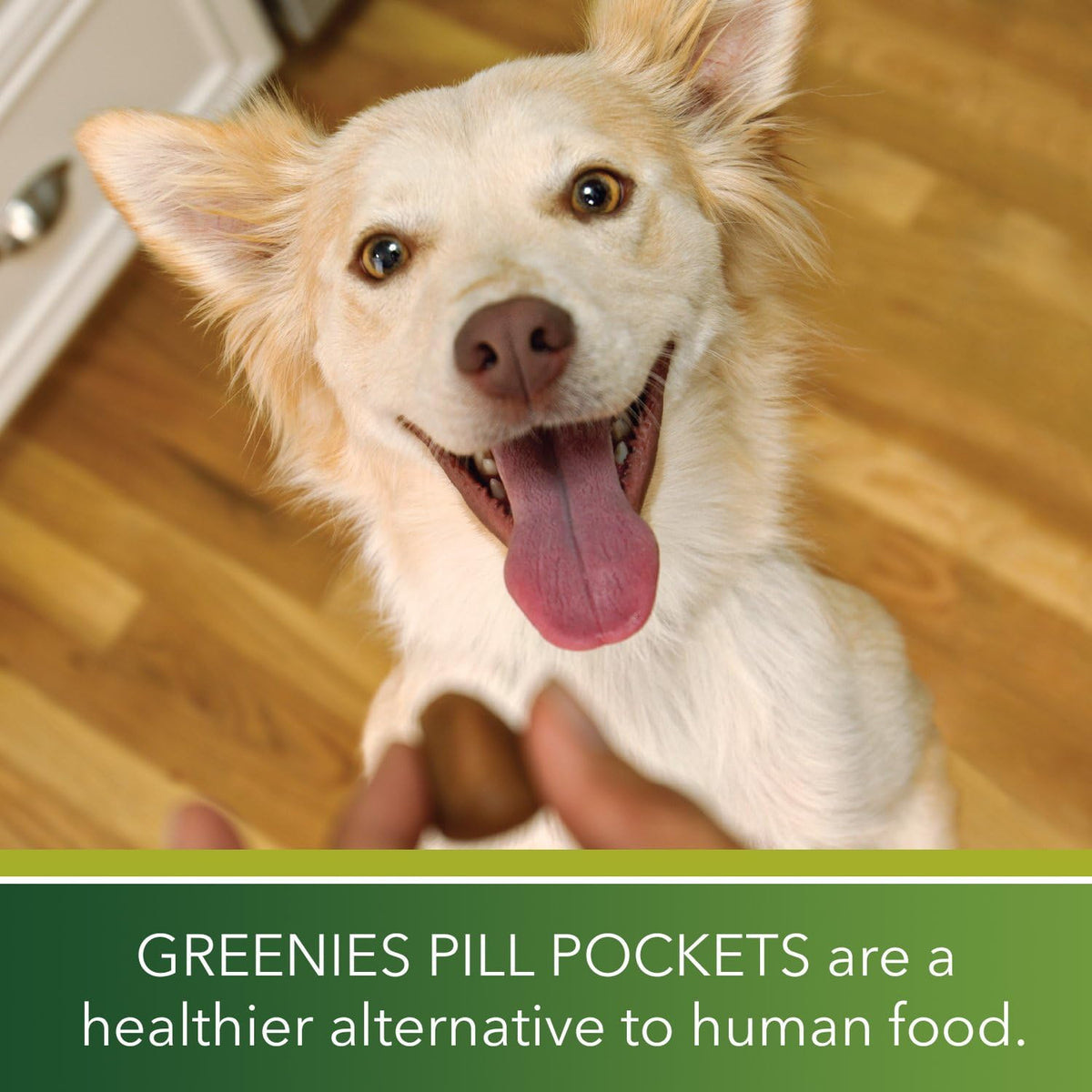 Pill Pockets Soft Dog Treats, Peanut Butter, Tablet, 3.2 Oz. (Pack of 6)