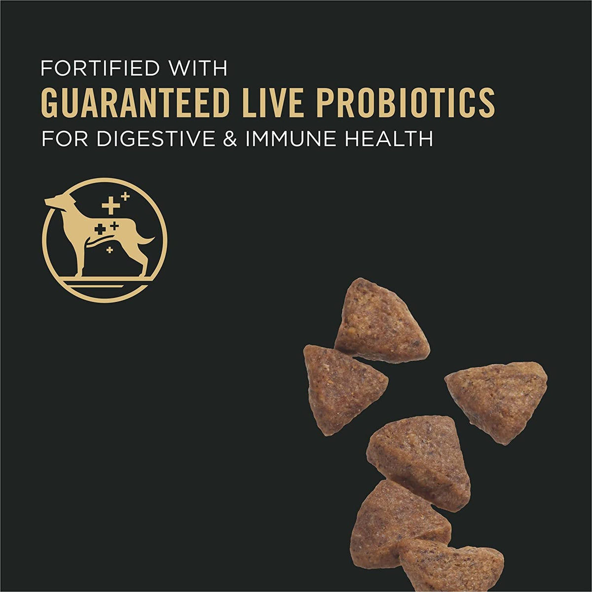 Sensitive Skin and Sensitive Stomach Dog Food with Probiotics for Dogs, Lamb & Oat Meal Formula - 4 Lb. Bag