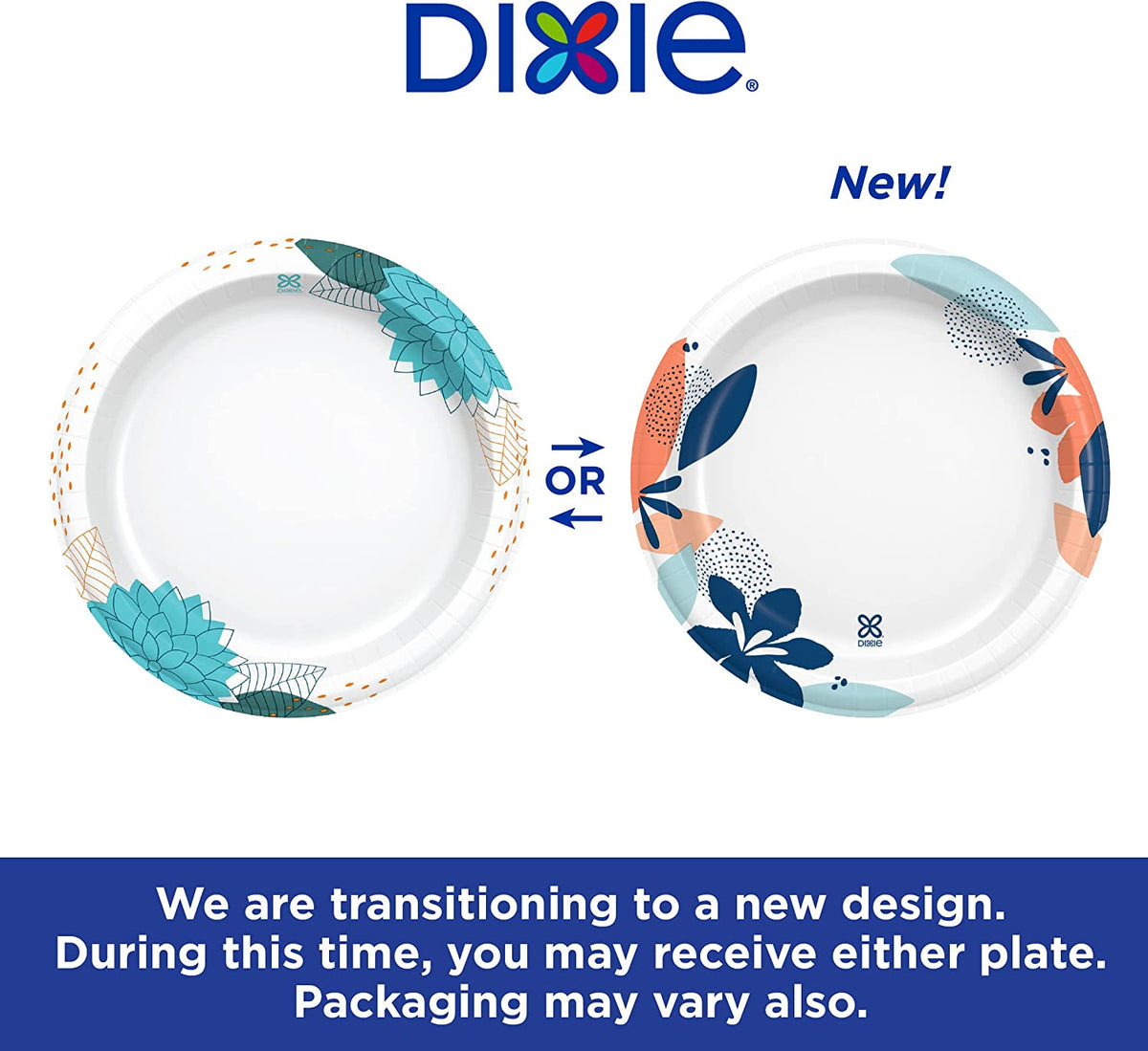 Paper Plates, 8 1/2 Inch, Dinner Size Printed Disposable Plate, 90 Count