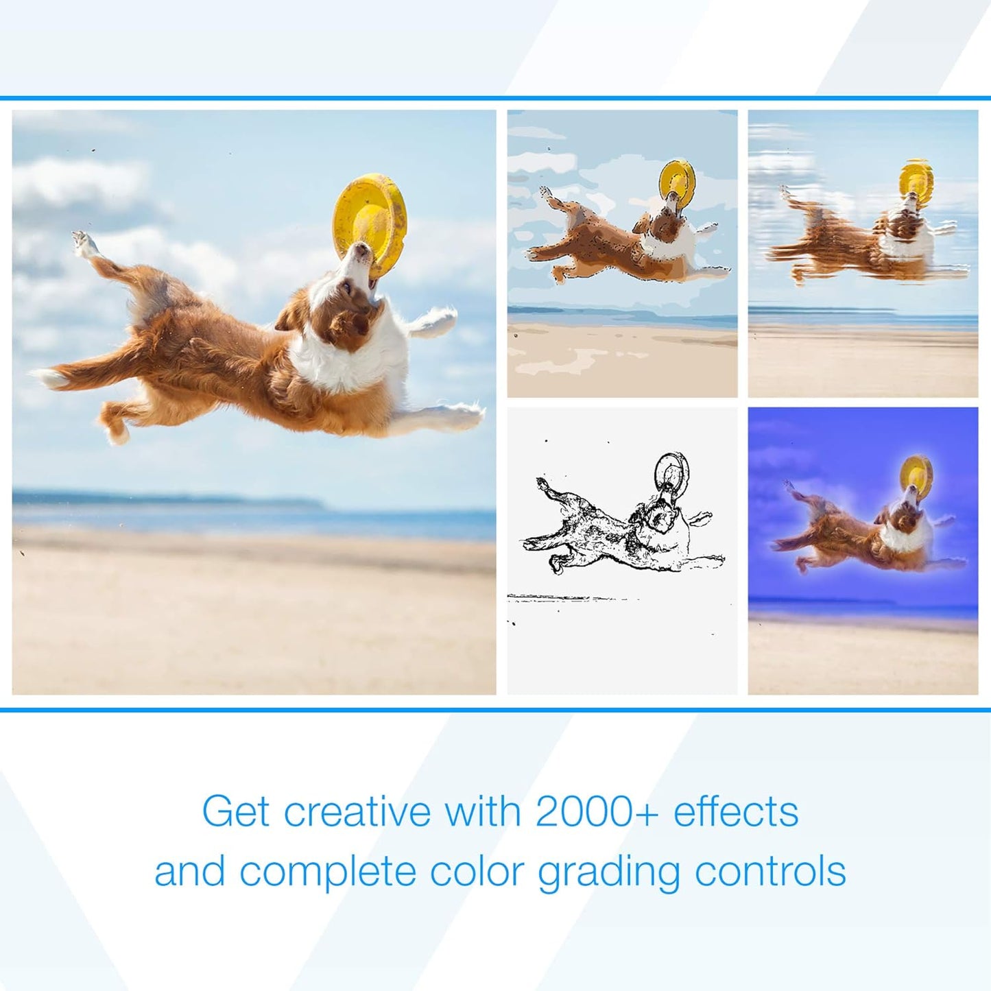 Videostudio Ultimate 2021 | Video Editing Software with Hundreds of Premium Effects | Slideshow Maker, Screen Recorder, DVD Burner [PC Disc] [Old Version]