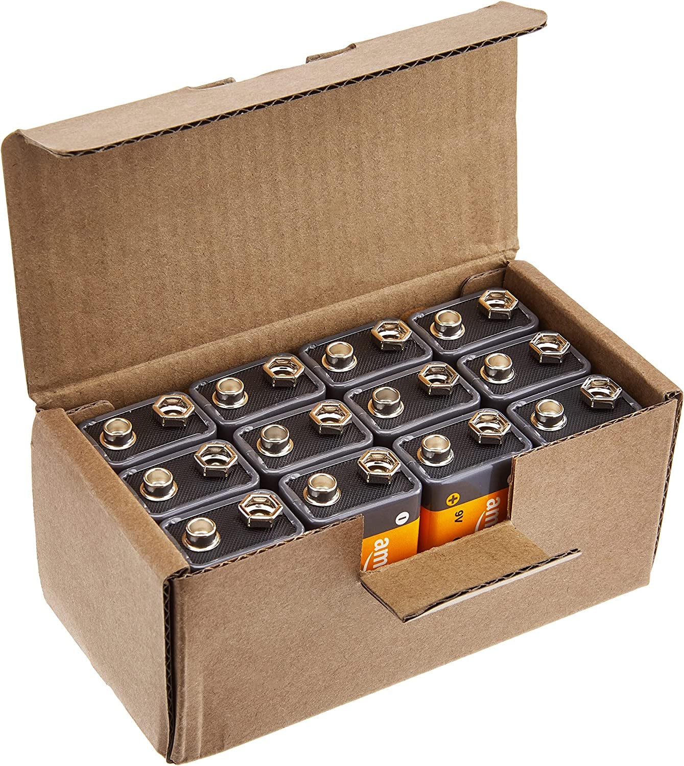 12-Pack 9 Volt Alkaline Performance All-Purpose Batteries, 5-Year Shelf Life, Packaging May Vary