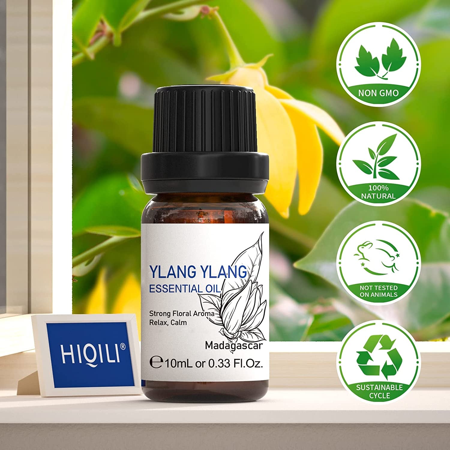 Ylang Ylang Essential Oil, Fragrance and Lasting for Diffuser,Aromatherapy,Massage-10Ml