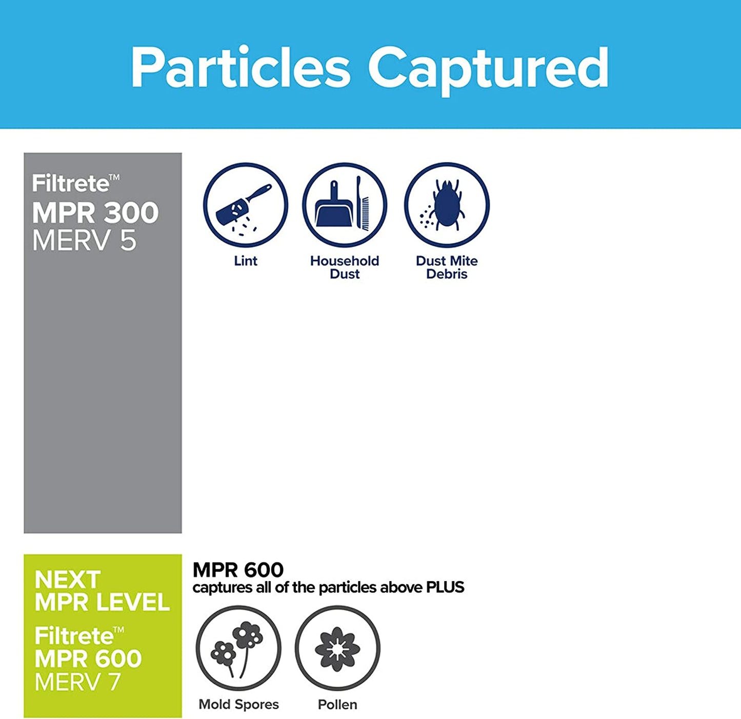 12X24X1 Air Filter, MPR 300, MERV 5, Clean Living Basic Dust 3-Month Pleated 1-Inch Air Filters, 6 Filters