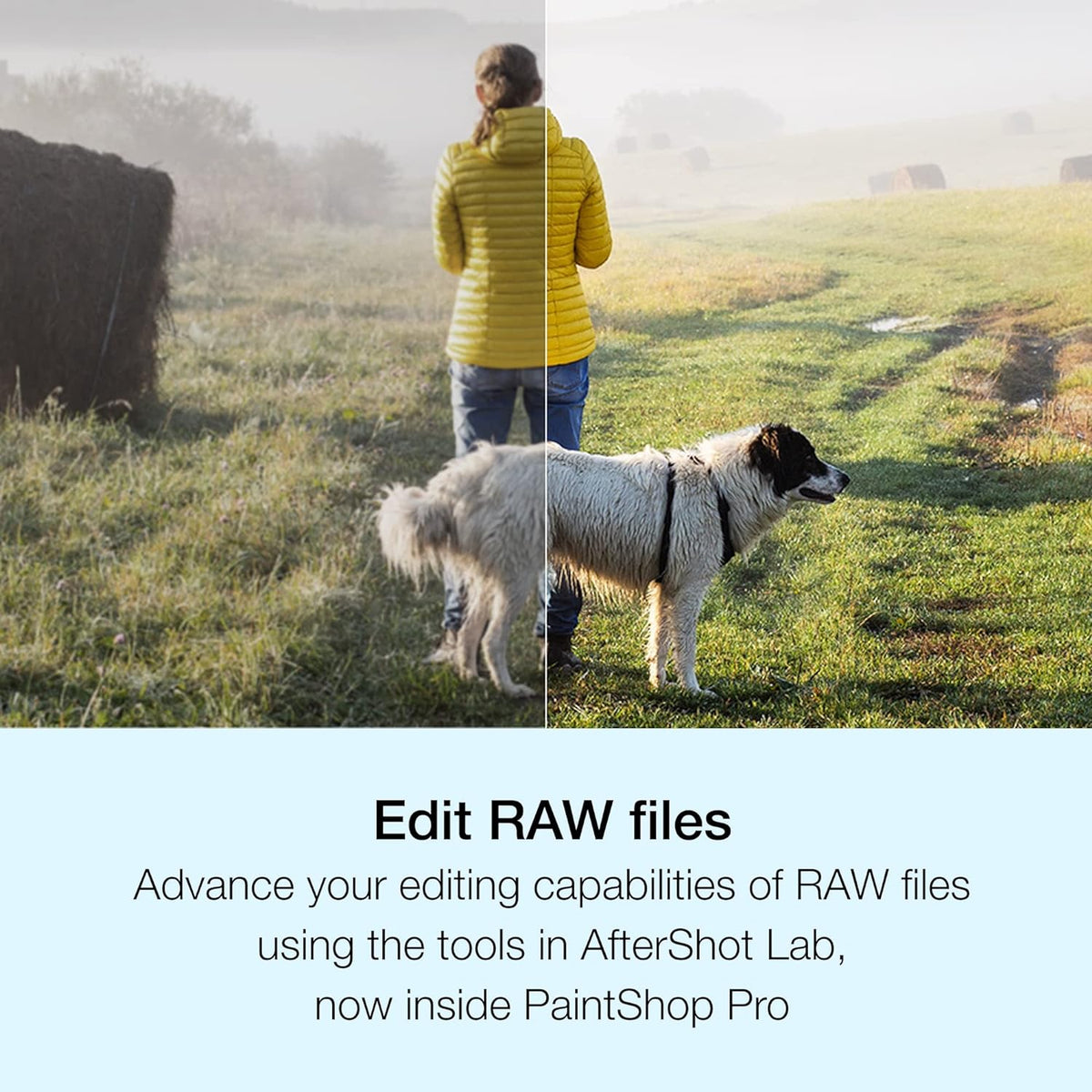 Paintshop Pro 2023 | Powerful Photo Editing & Graphic Design Software [PC Key Card]